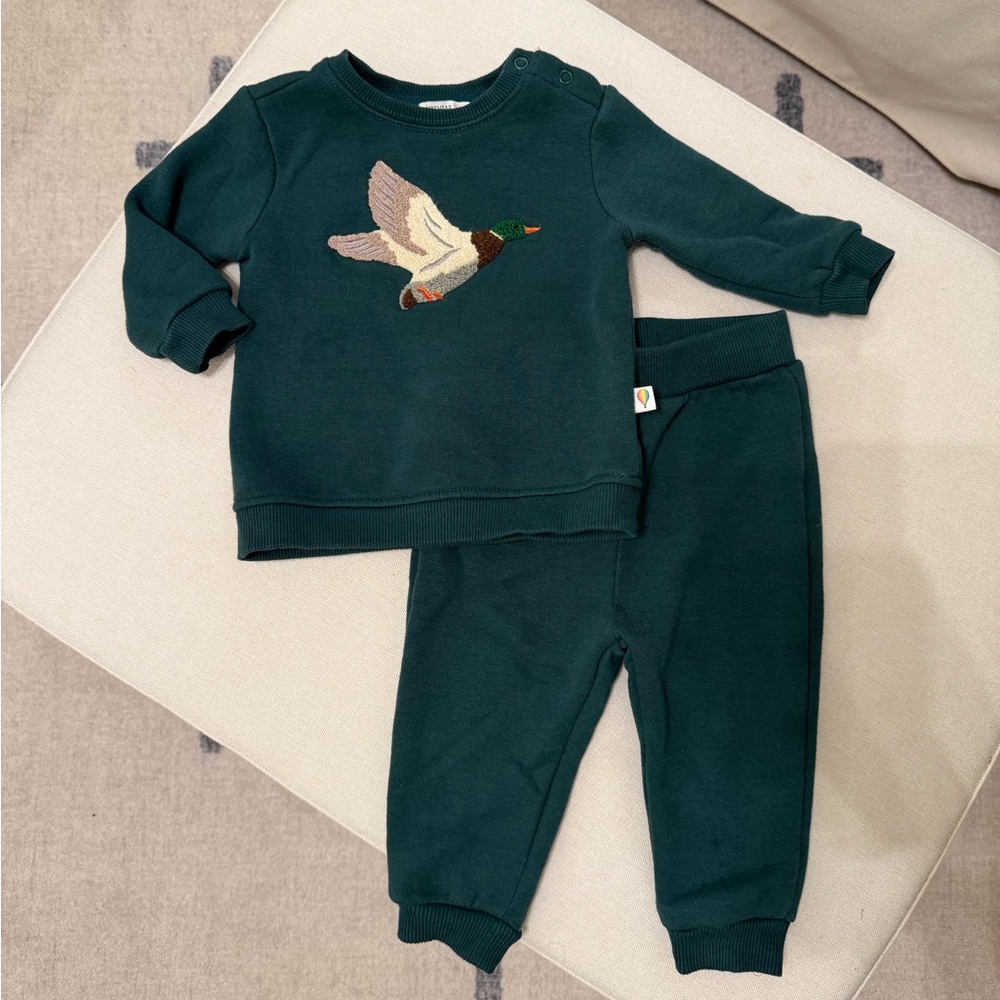 Green Toddler Sweatshirt and Pants Set with Duck Design